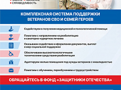Комплексная система поддержки ветеранов СВО и семей героев